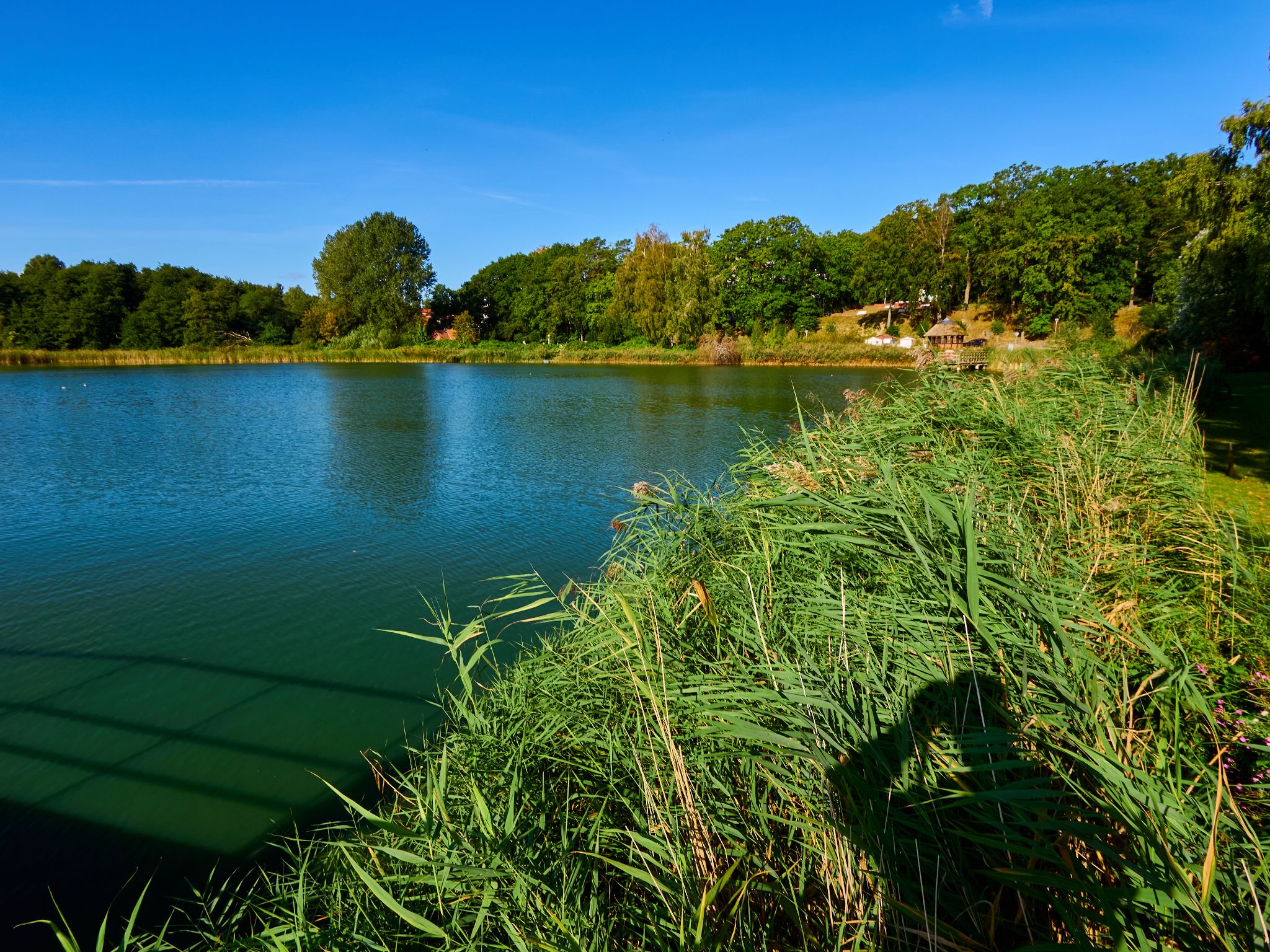 Landschaft 2024  1770 Usedom